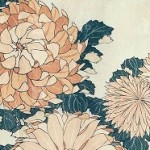 Chrysanthemums (colour woodblock print)