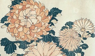 Chrysanthemums (colour woodblock print)