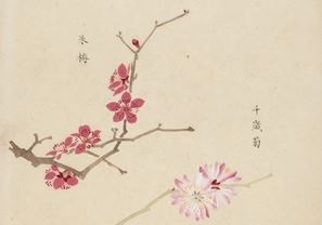 sakura_japan_1868